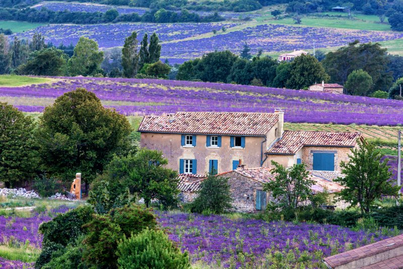 Nice provence