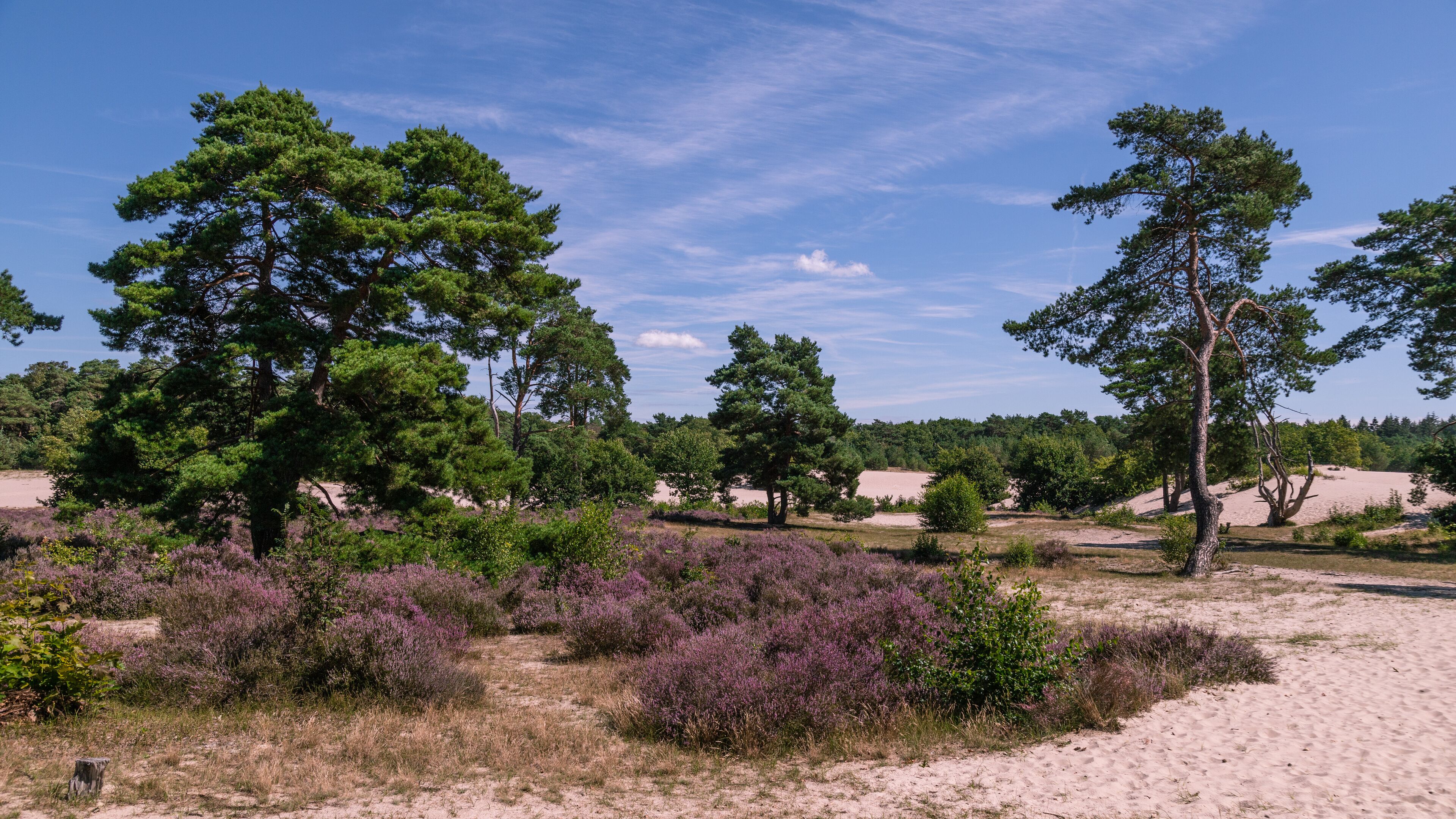 Nederland