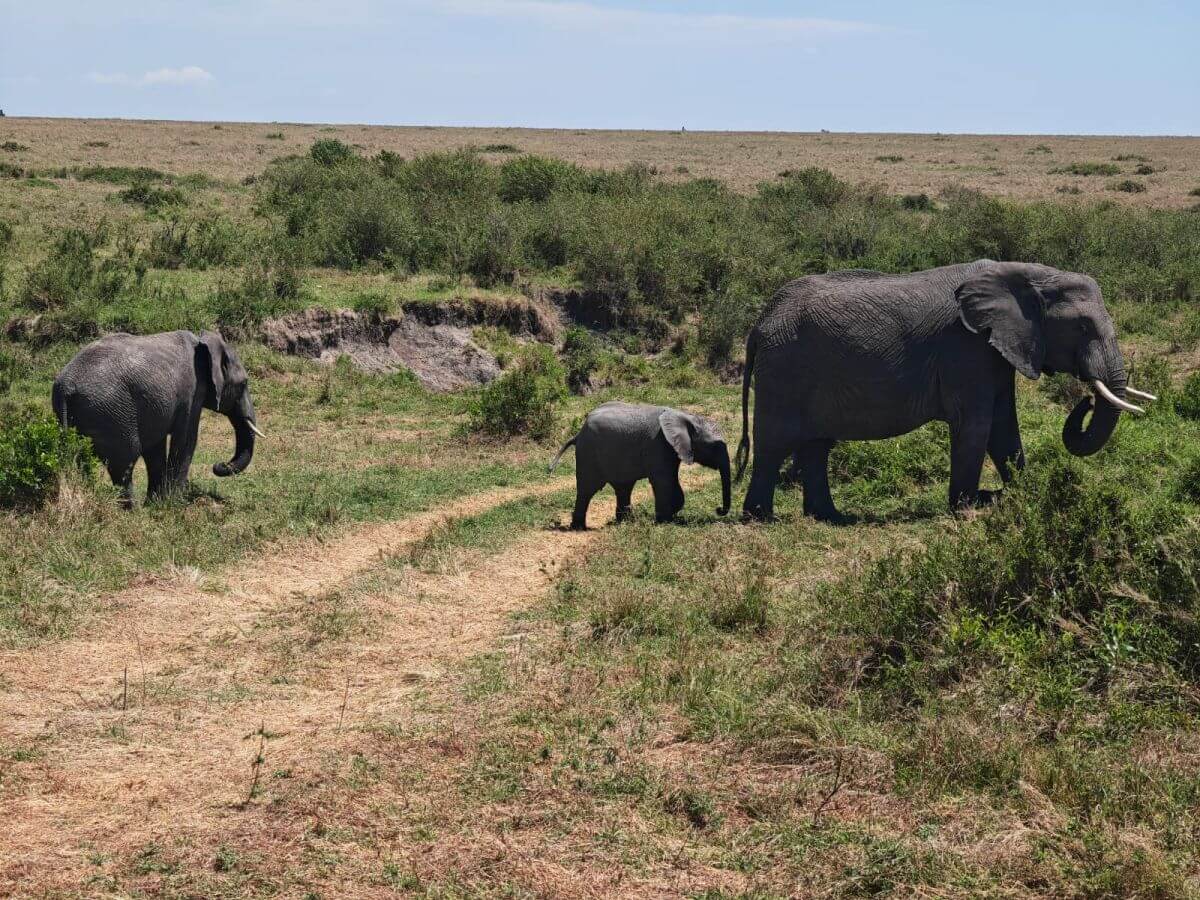 Tanzania